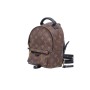 LOUIS VUITTON RUCKSACK PALM SPRINGS MINI