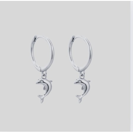 S925 Sterling Silver Earings