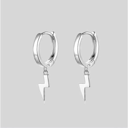 S925 Sterling Silver Earings