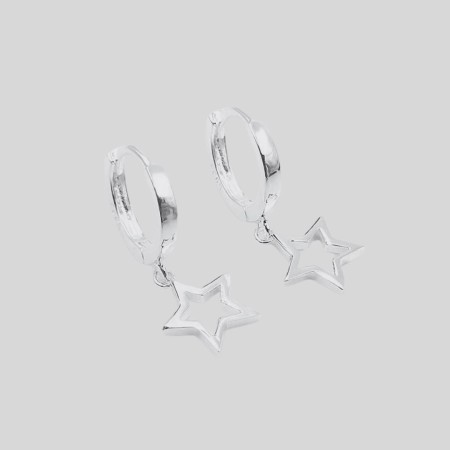 S925 Sterling Silver Earings