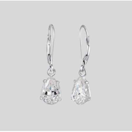 S925 Sterling Silver Earings