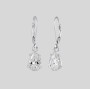 S925 Sterling Silver Earings